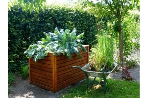 Plantekasser & højbed: Guide og gode råd, tips og tricks