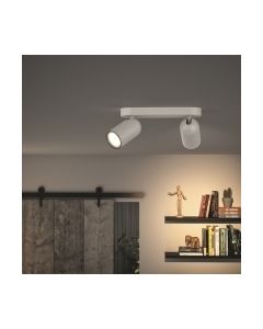 Philips pongee bar/tube 2xnw