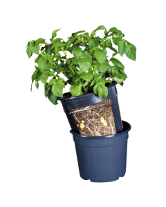 Gardenlife Potte Til Kartofler