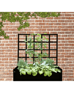 Gardenlife espalier sort